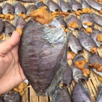 Cá sặc trứng 1 nắng thượng hạng